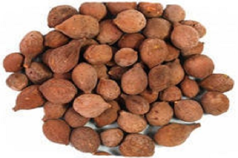 <p>Bibhitaki consists of pericarp of dried ripe fruits.</p>
                <p><b>Latin Name</b>-Terntinalia belerica Roxb.</p>
                <p><b>Hindi:</b> Bahera
                <p><b>Marathi:</b> Baheda
                <p>A large deciduous tree, 10-12 m or more high, commonly found in plain and forests upto 900 m elevation, fruits ripen towards November. <p>
                <b>Useful part</b>- Dried fruit  